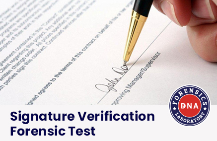 What is Signature Verification, and How To Detect It?