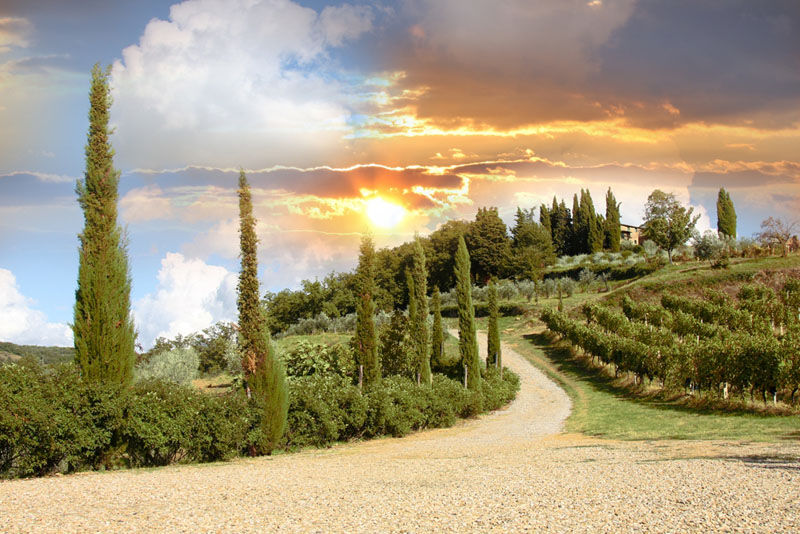 Unwind in Tuscany: Discover the Magic of a Relaxing Vacation