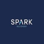 Spark Recovery profile picture