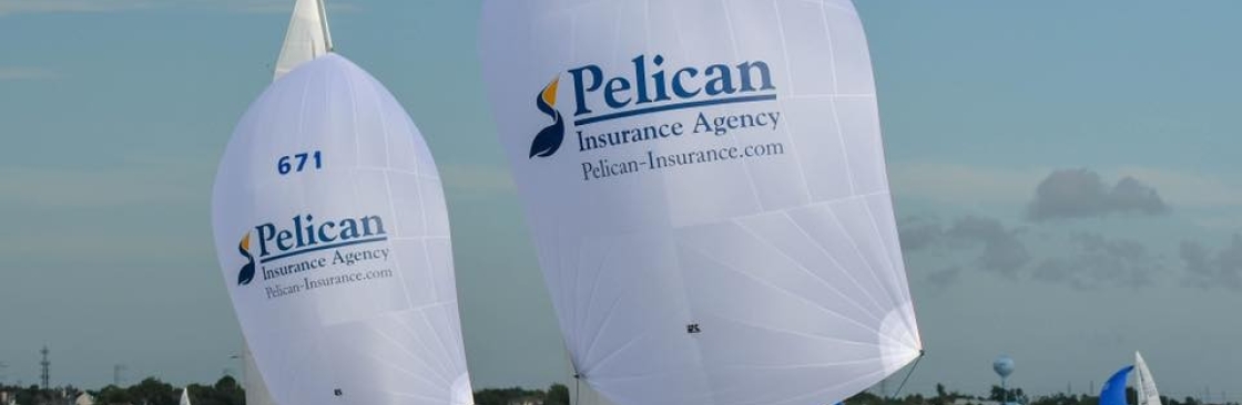 Pelican Insurance Cover Image